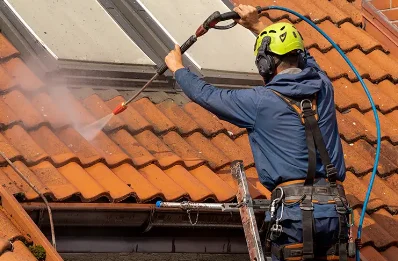 Démoussage et hydrofuge de toiture à Leyr
